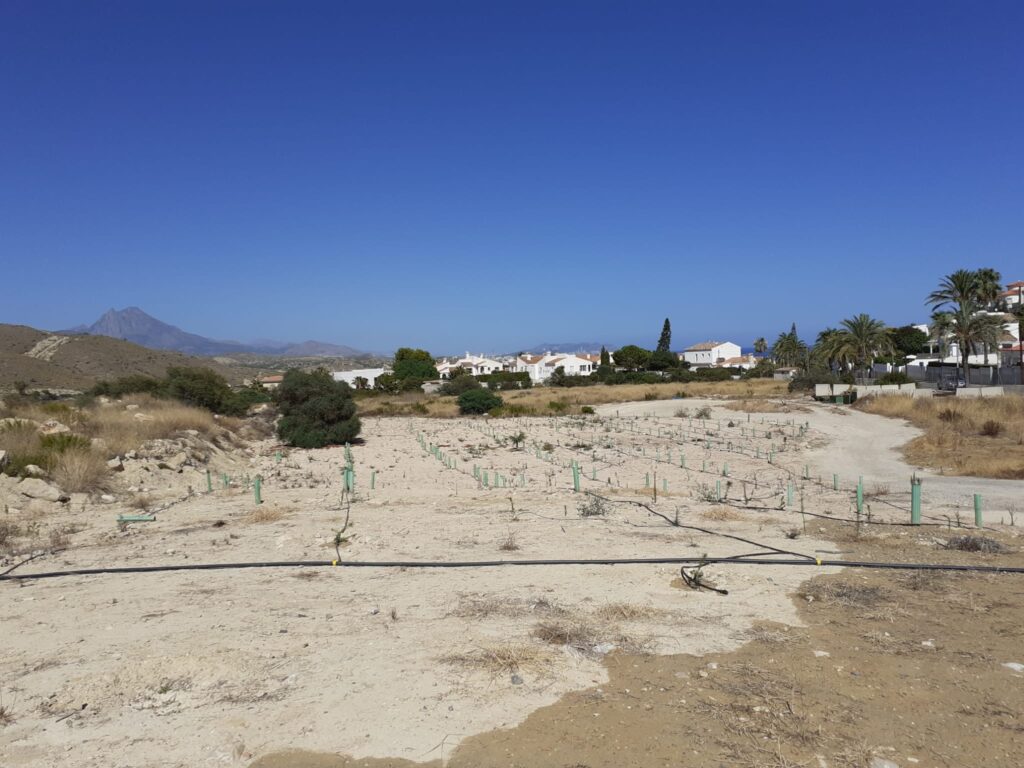  Otro paso hacia delante hacia la consecución de la ejecución del proyecto del parque forestal “El Poblet” 