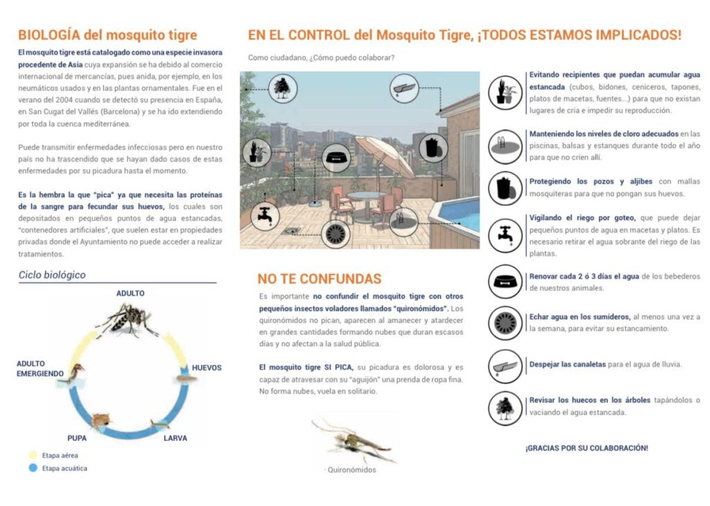 Recomendaciones para evitar la proliferación del mosquito tigre