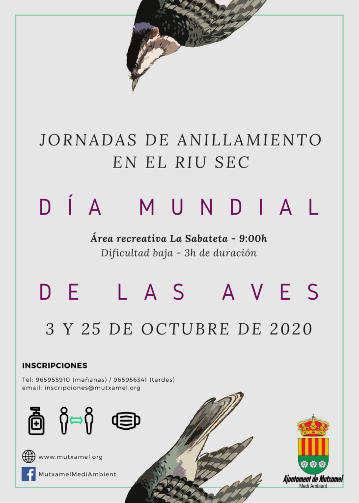 Cartel día mundial de las aves