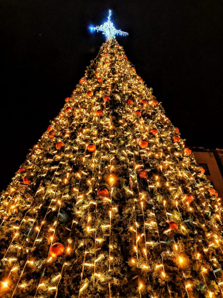 El árbol de Navidad instalado en la Plaza de la Constitución