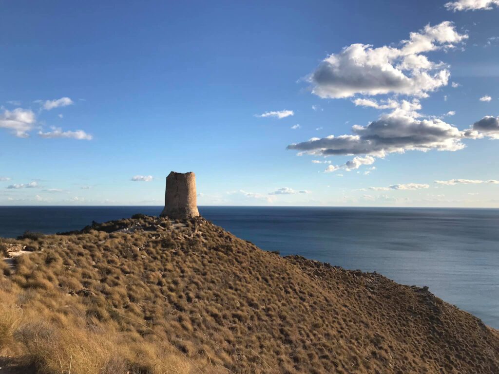 Torre-Reixes-Medidas