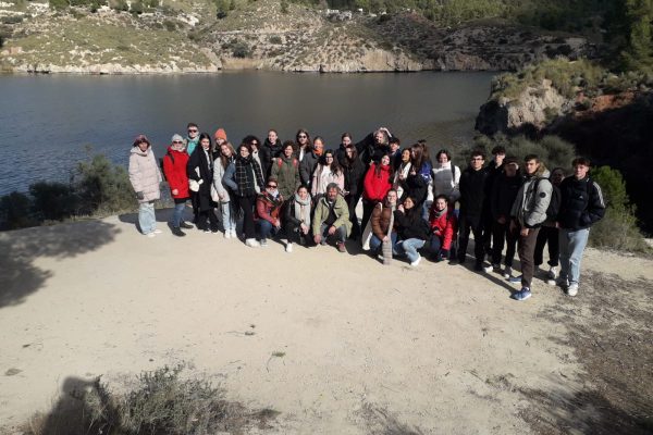 42efd8c8-d5fe-4f83-acb3-7bd24b84fba3