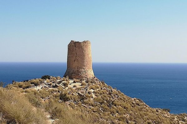 554979539_1203869311781259_6042571311592970180_n