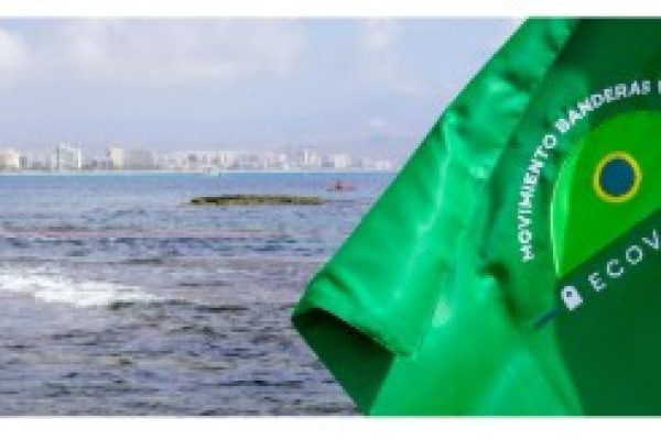 Bandera-verde