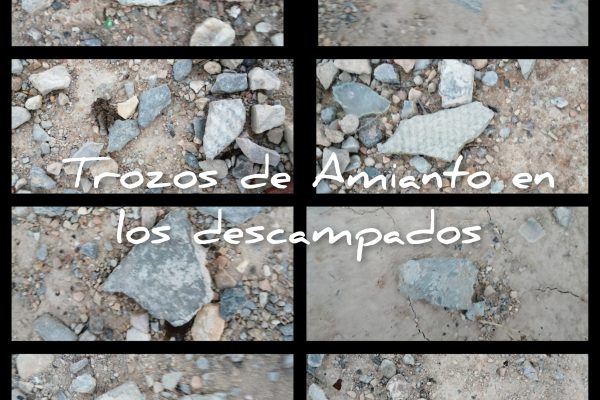 CollageMaker_20210125_201708506