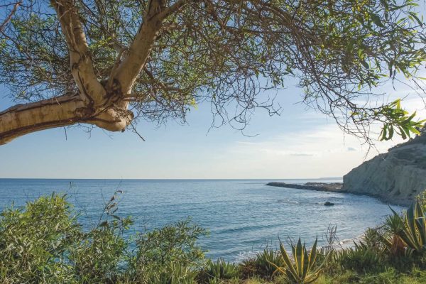 El_Campello_CALA_LANUZA_1