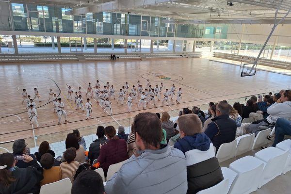 Exhibicion-karate-en-el-pabellon-polideportivo