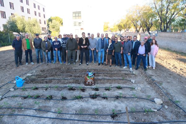 HUERTO-URBANO-CALLE-DEL-MAR-SANT-JOAN-2026-17