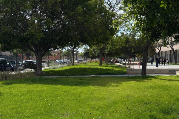 Imagen-de-las-zonas-ajardinadas-en-las-que-se-ha-actuado-en-la-avda-Vicente-Savall