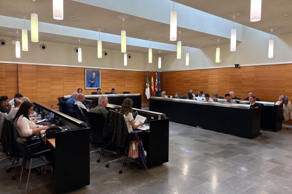 Imagen-pleno-de-abril-SVR