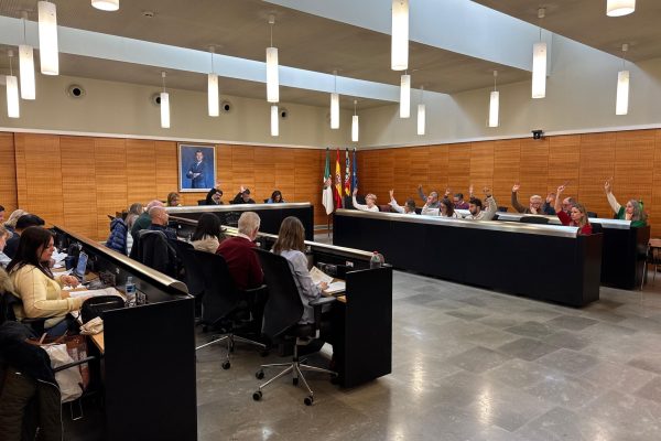 Imagen-votscion-pleno-ordinario-de-marzo-2026