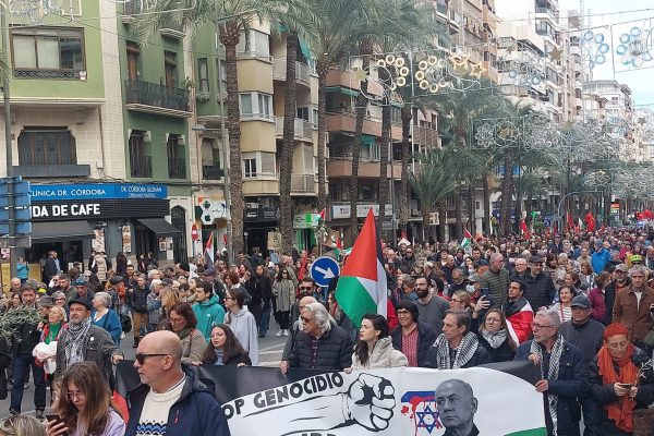 NdP-Mocion-Palestina
