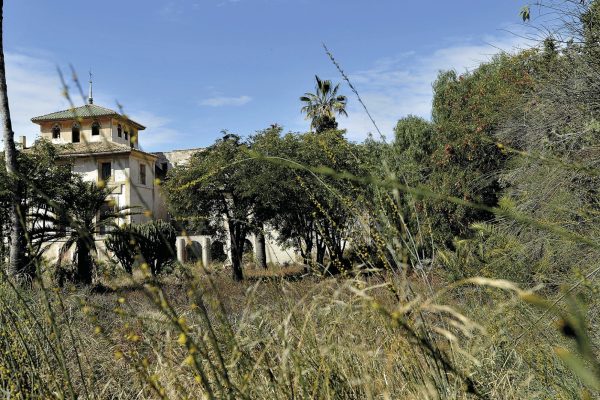 PHOTO-2022-08-21-13-12-11