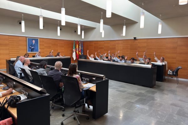 PLENO-extraordinario-oct-25-Ordenanzas