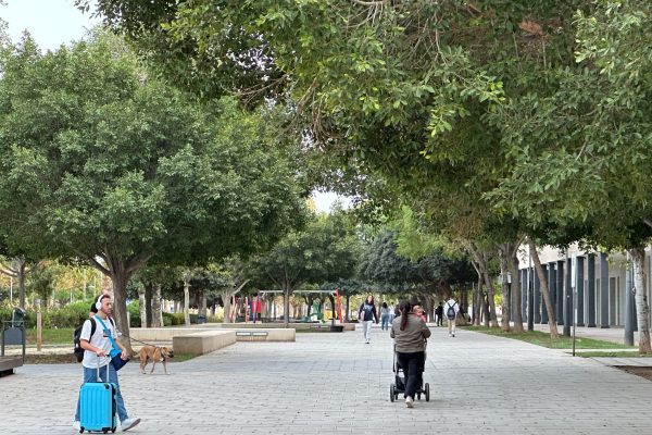 Parque-Vicente-Savall-2