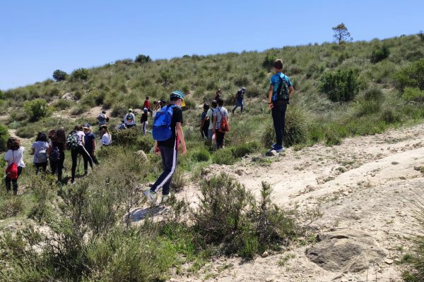 Plantando-Algarrobos