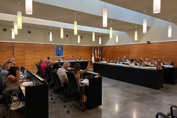 Pleno extraordinario 14 sept