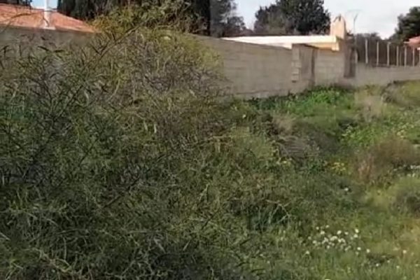 Solar-abandonado-en-Ras-Pas