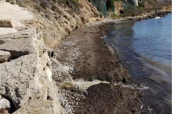 Vertido-directo-por-rotura-en-obras-EBAr-en-Playa-Almadrava-Campello