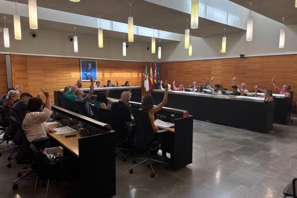 Votacion-en-el-pleno-de-junio