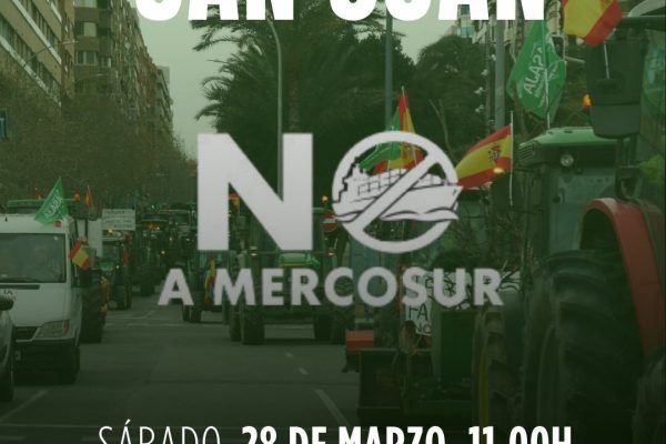 WhatsApp-Image-2026-03-26-at-13.17.58