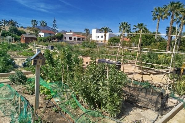 WhatsApp-Image-2026-04-28-at-09.16.06