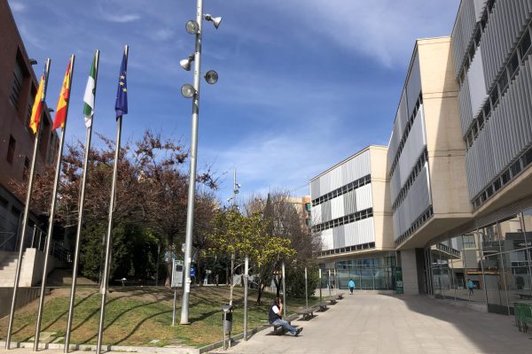 ayunt