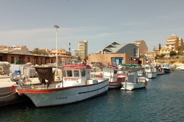 c-26-Flota-de-baixura-