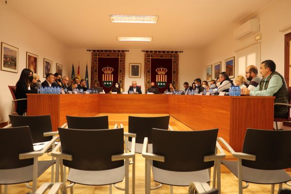 pleno-ayto-mutxamel-27-abril-2022-02